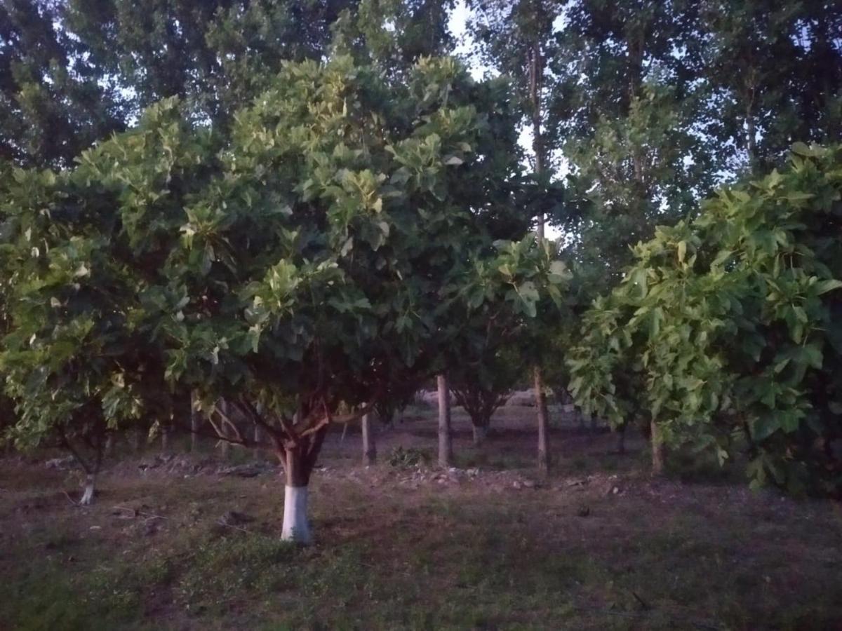 Finca La Julia Luyaba Екстериор снимка