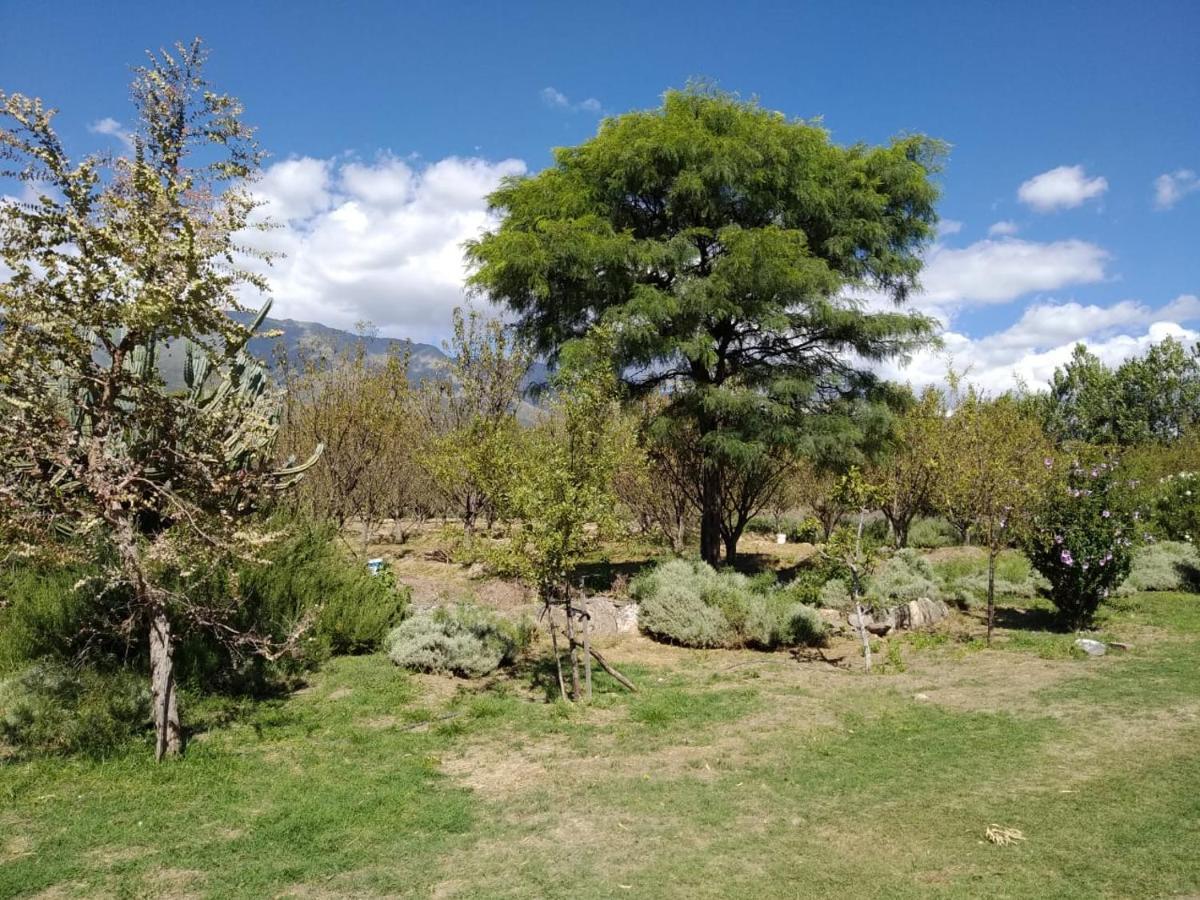 Finca La Julia Luyaba Екстериор снимка
