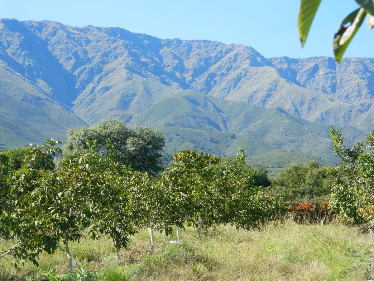 Finca La Julia Luyaba Екстериор снимка